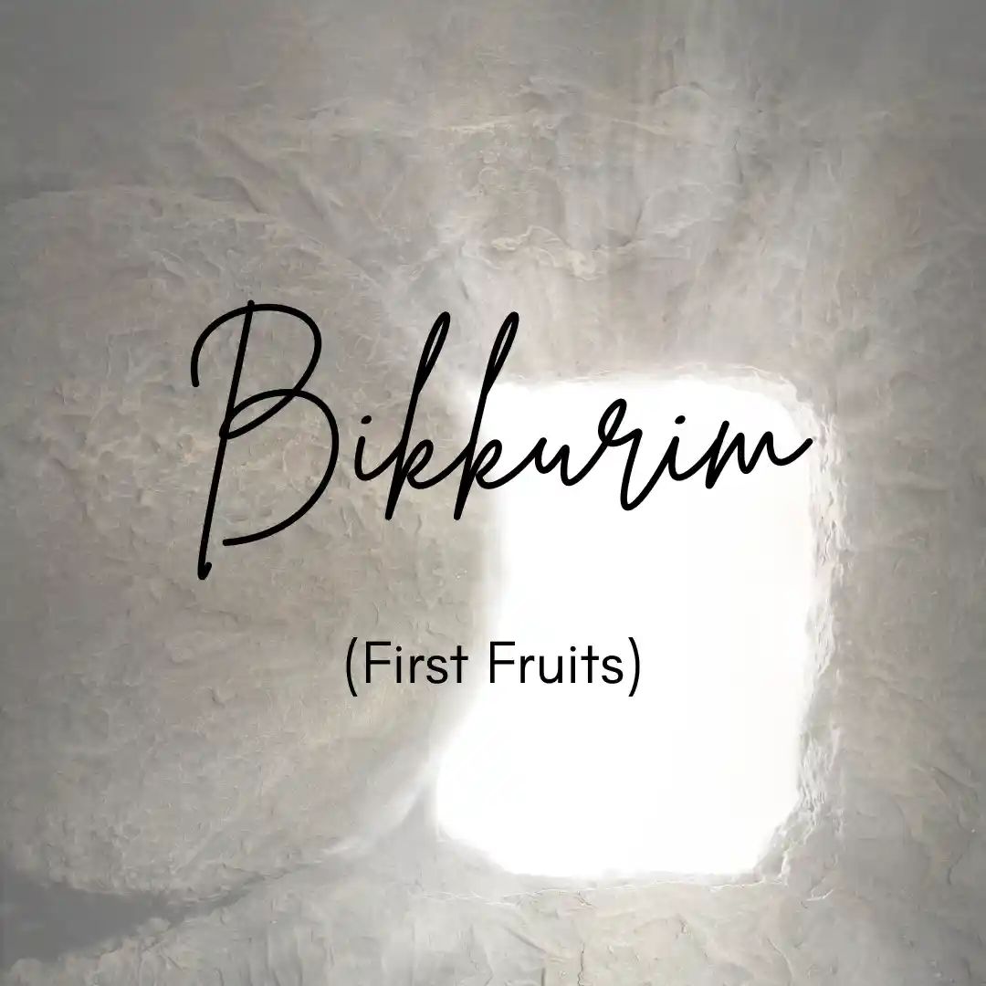 First Fruits Image Tile