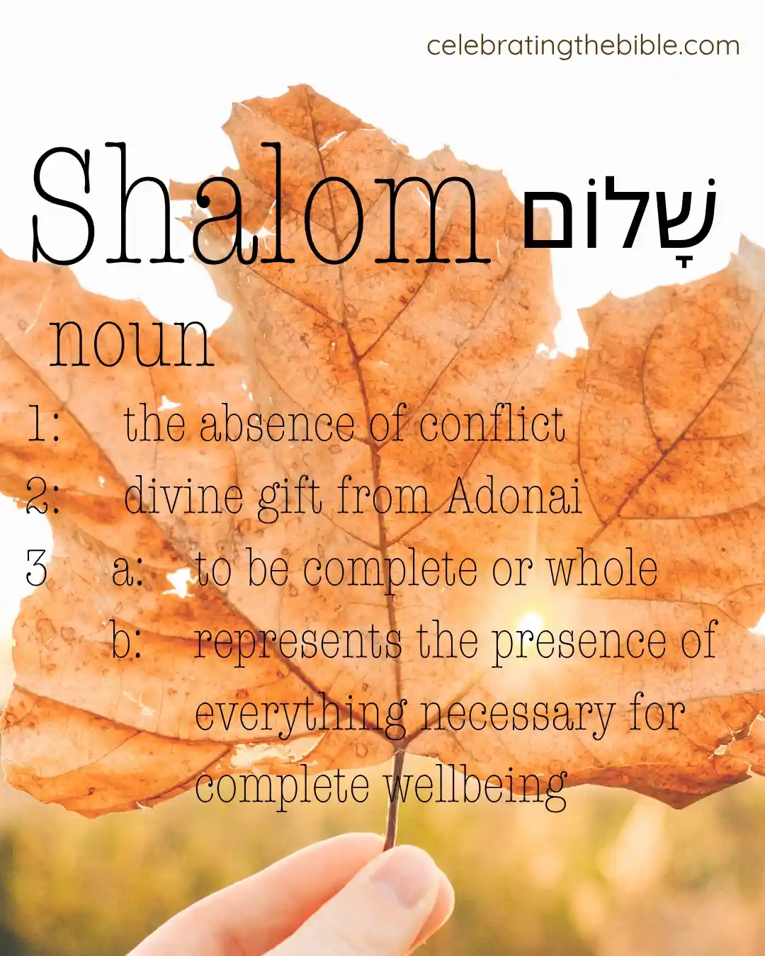 Meaning of Shalom