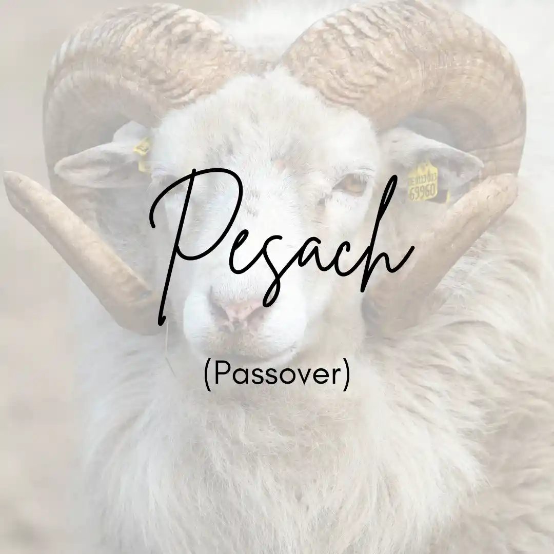Passover Image Tile