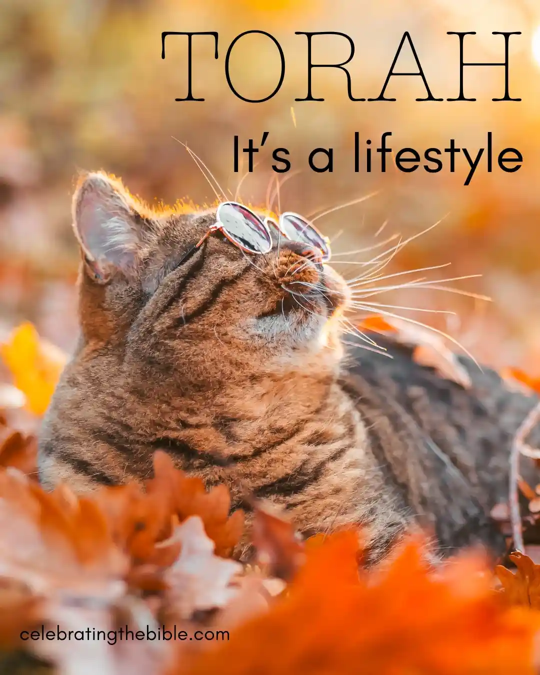 Torah is a Lifestyle